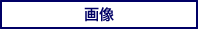 �摜