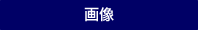 �摜